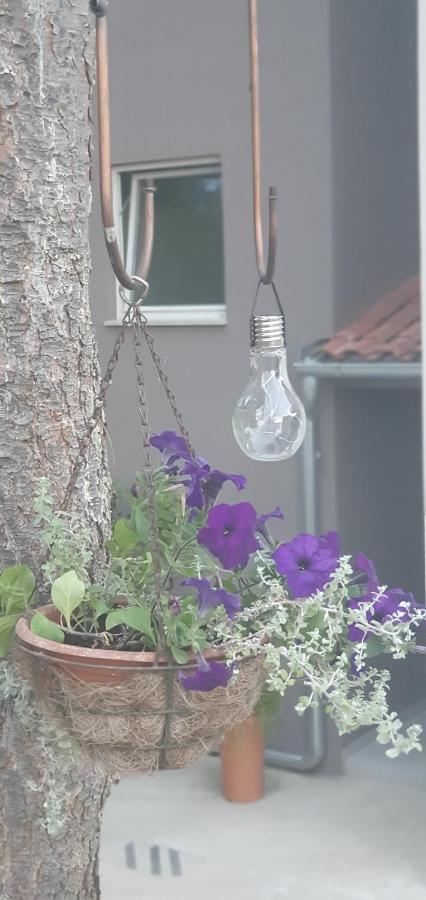 Apartman Tika พูลา ภายนอก รูปภาพ